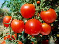 banner_2