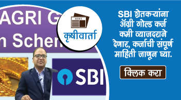 SBI शेतकर्‍यांना अ‍ॅग्री गोल्ड कर्ज कमी व्याजदराने देणार, कर्जाची संपूर्ण माहिती जाणून घ्या.