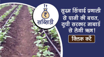 सूक्ष्म सिंचाई प्रणाली से पानी की बचत, यूपी सरकार नाबार्ड से लेगी ऋण!
