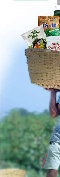 banner_6