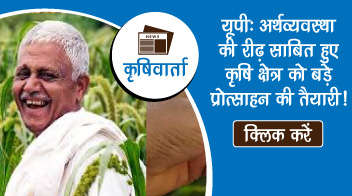 यूपी: अर्थव्यवस्था की रीढ़ साबित हुए कृषि क्षेत्र को बड़े प्रोत्साहन की तैयारी !