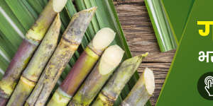 banner_0