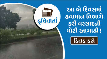 ગુજરાતના ખેડૂતો માટે  સૌથી માઠા સમાચાર, આ બે દિવસમાં હવામાન વિભાગે કરી વરસાદની મોટી આગાહી !