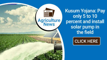 Kusum Yojana: Pay only 5 to 10 percent and install solar pump in the field

