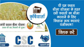 पी एम फसल बीमा योजना के तहत रबी फसलों का बीमा करवाने के लिए किसान जल्द करवाएं पंजीकरण!